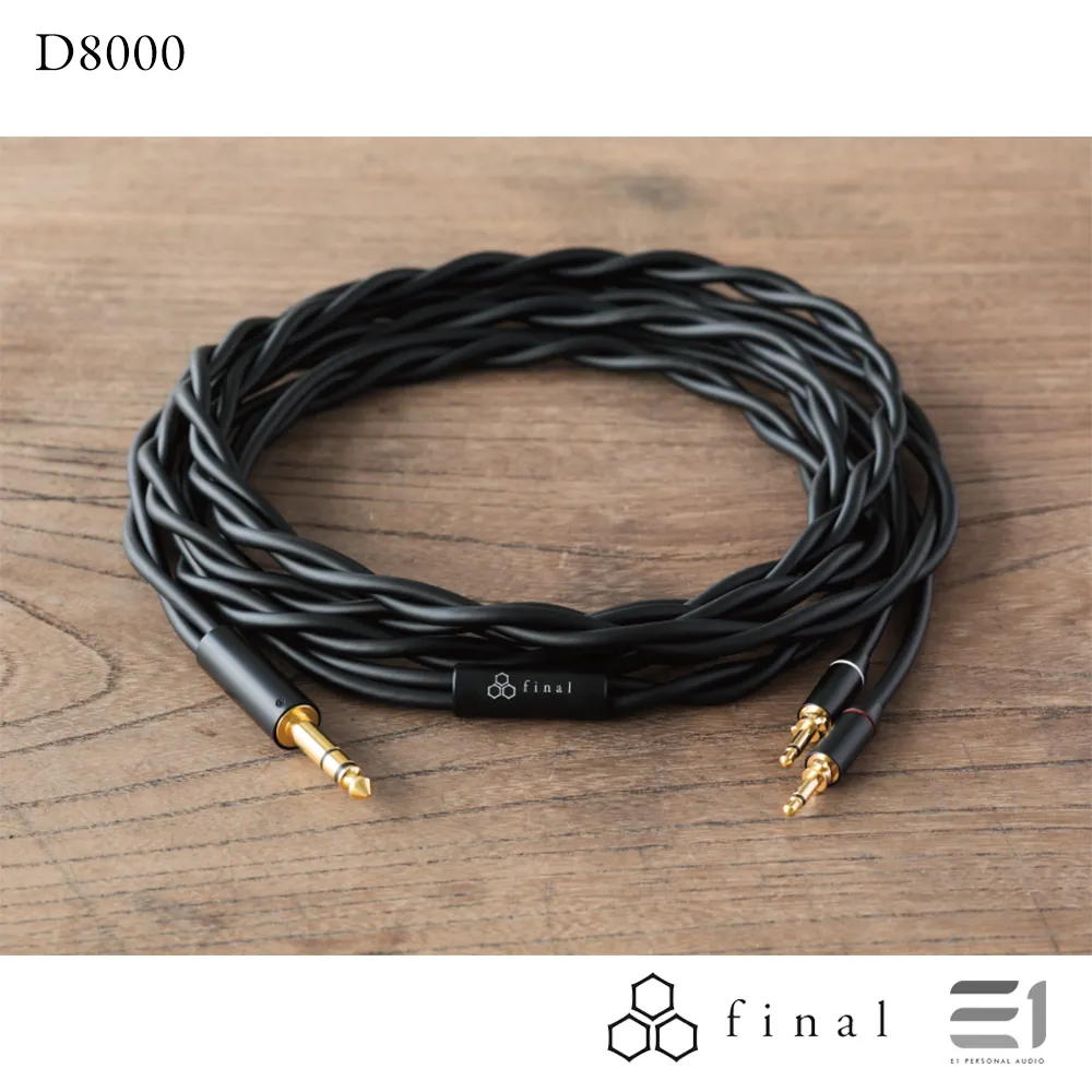 Final Audio D8000 Planar Magnetic Headphones