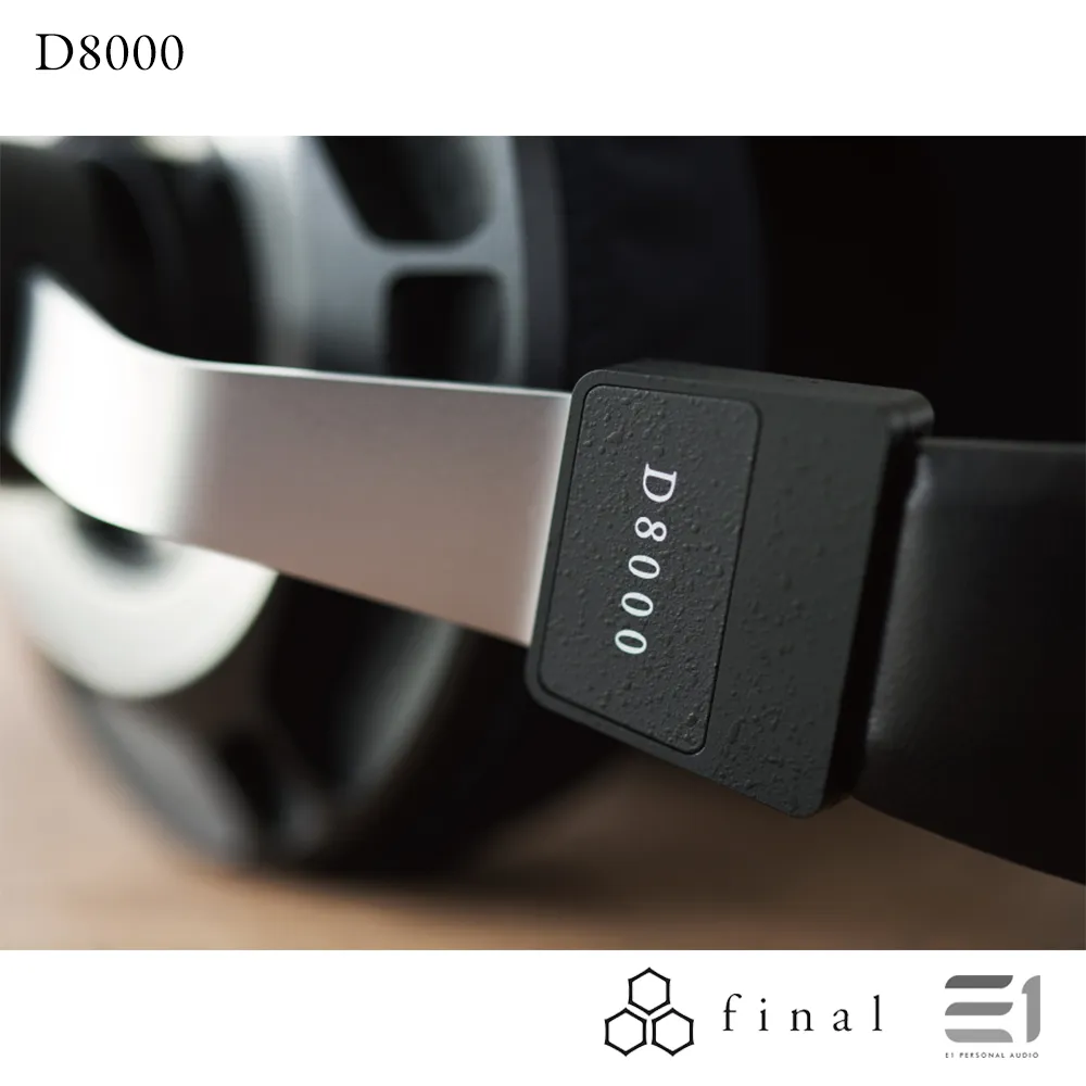 Final Audio D8000 Planar Magnetic Headphones