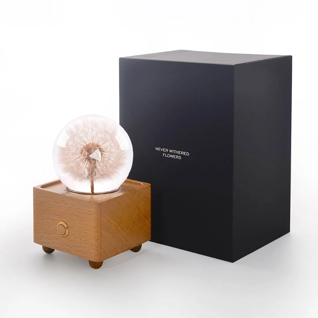 Real Preserved Flower Wireless Bluetooth Speaker, LED Night Light in Glass Dome