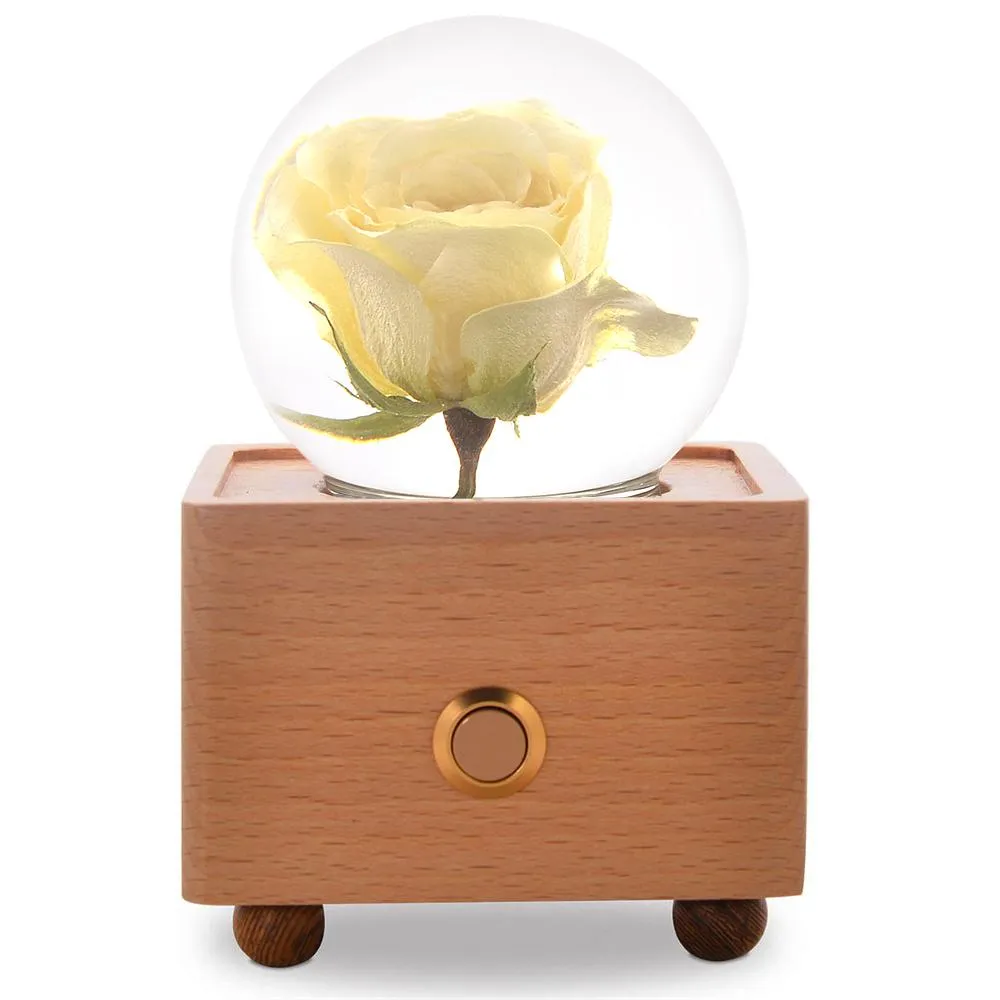 Real Preserved Flower Wireless Bluetooth Speaker, LED Night Light in Glass Dome