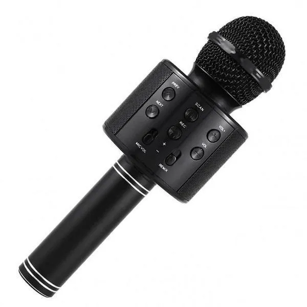 Wireless Karaoke Microphone for Kids - Assorted Colours